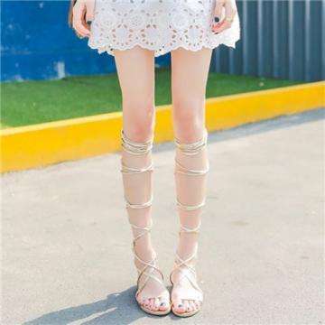 澳门新莆京游戏大厅app下载